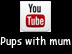 Video 2