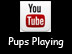 Video 3
